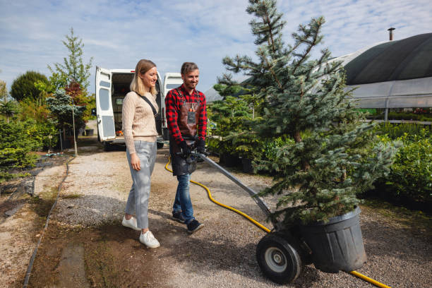 Tree and Shrub Care in East Milton, FL